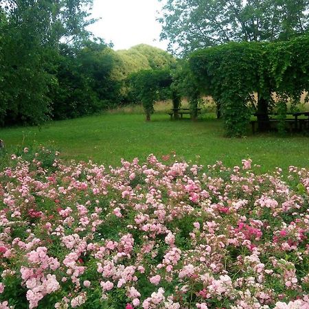 Agriturismo Il Magicorto カッソーラ エクステリア 写真