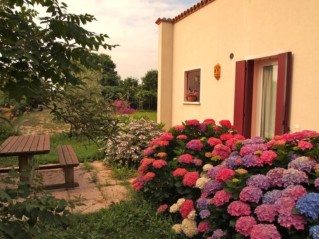 Agriturismo Il Magicorto カッソーラ 部屋 写真