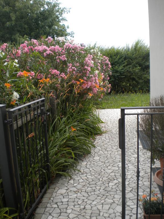 Agriturismo Il Magicorto カッソーラ 部屋 写真