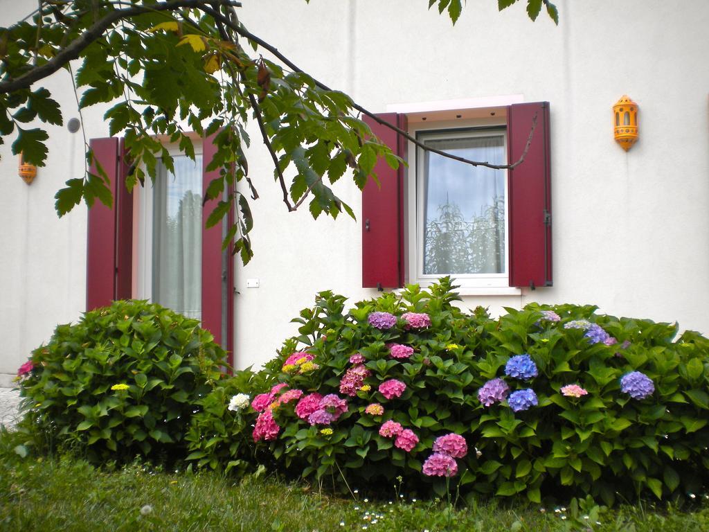 Agriturismo Il Magicorto カッソーラ 部屋 写真