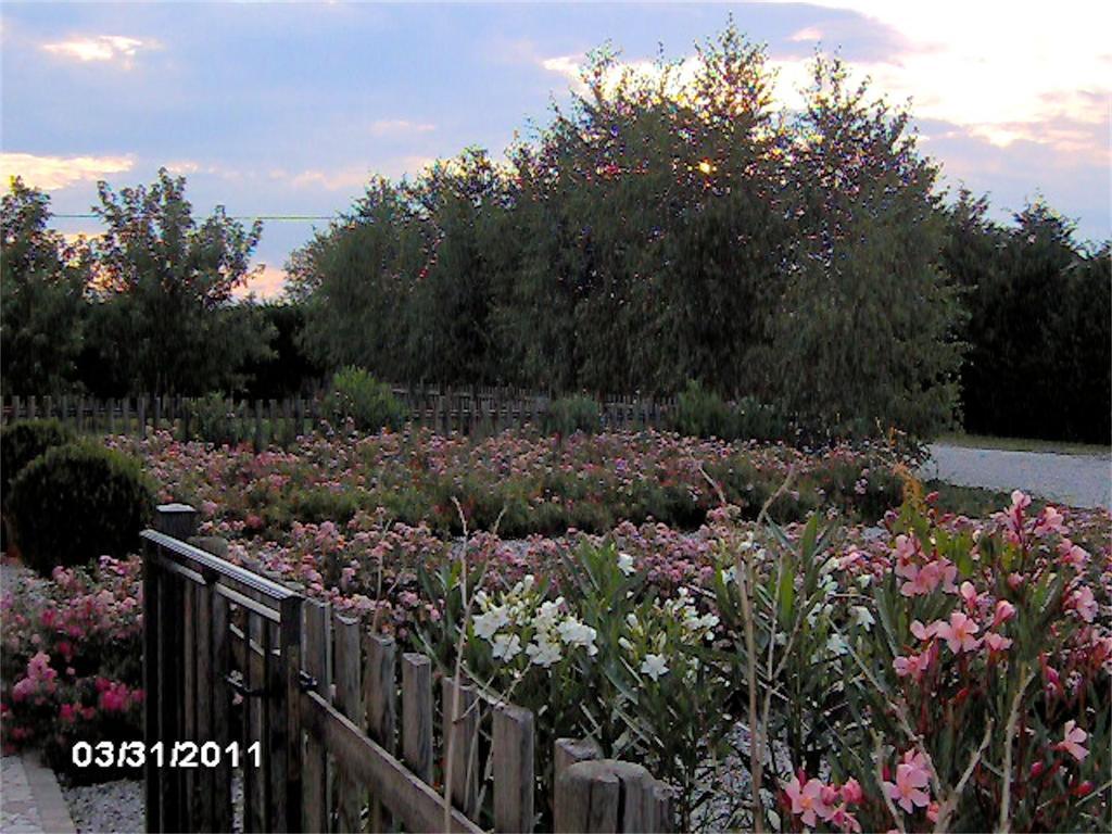 Agriturismo Il Magicorto カッソーラ エクステリア 写真