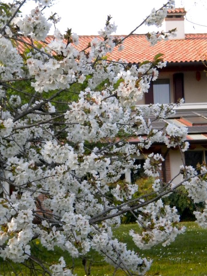 Agriturismo Il Magicorto カッソーラ エクステリア 写真