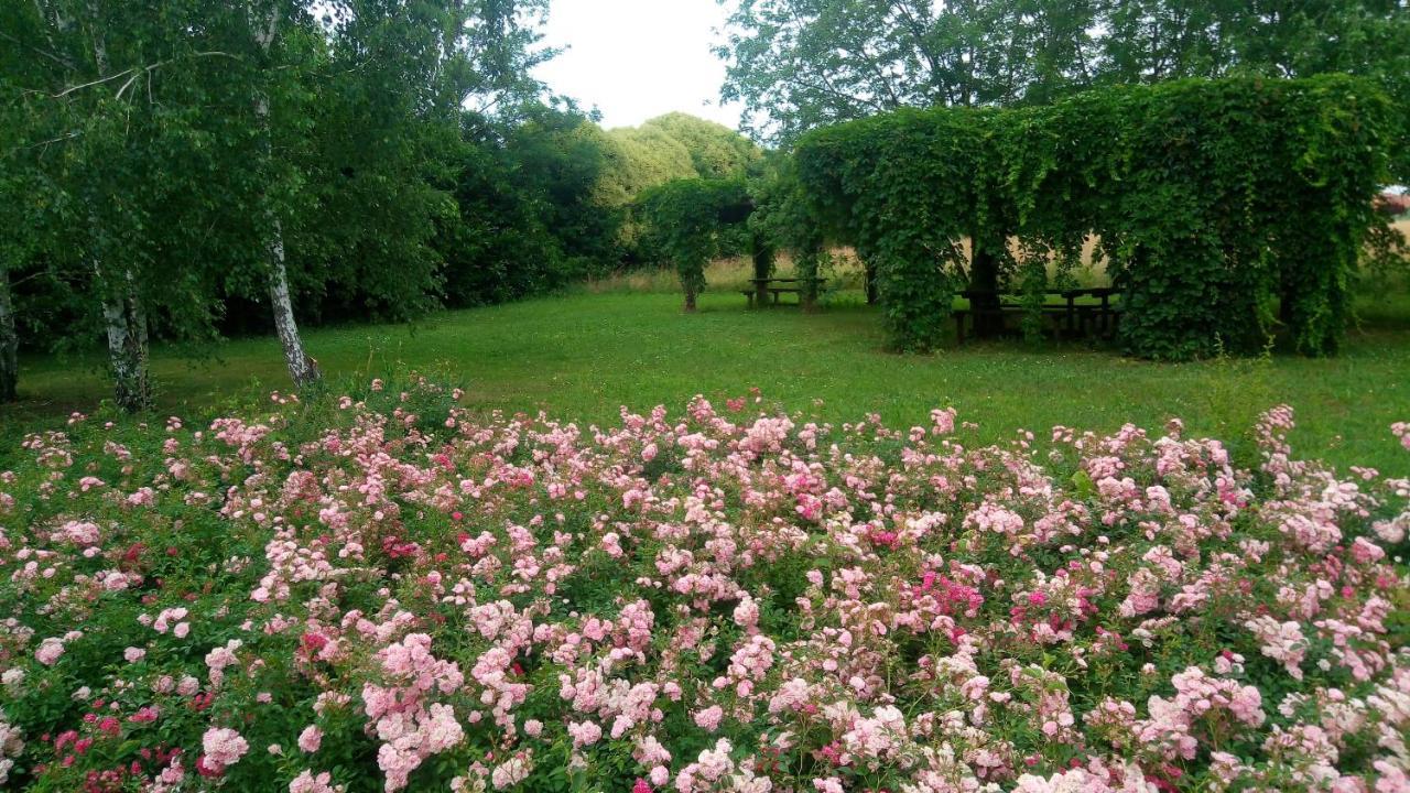 Agriturismo Il Magicorto カッソーラ エクステリア 写真
