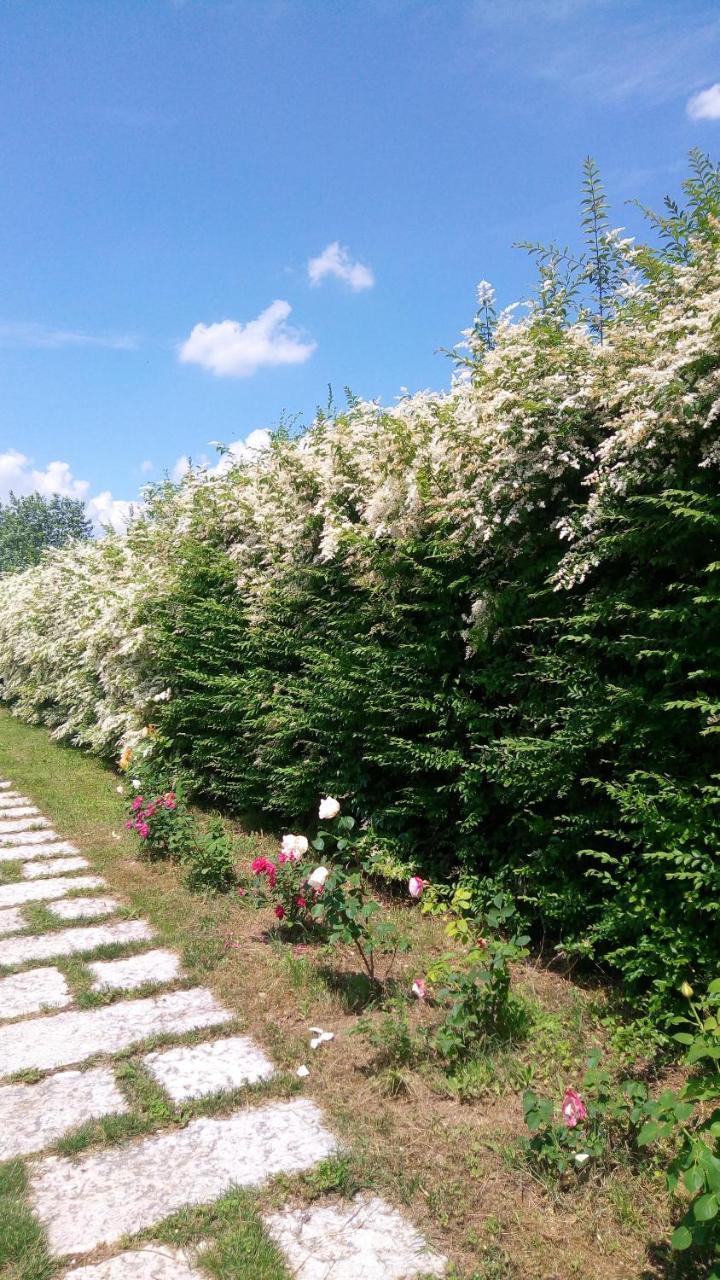 Cassola Agriturismo Il Magicortoヴィラ エクステリア 写真